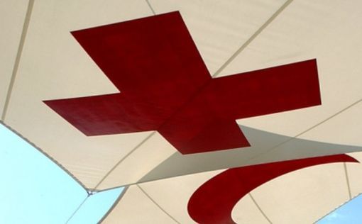 За прошедшие сутки в Газе погибли 11 человек