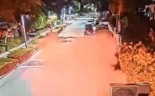 Видео: обстрел дома Нетаниягу