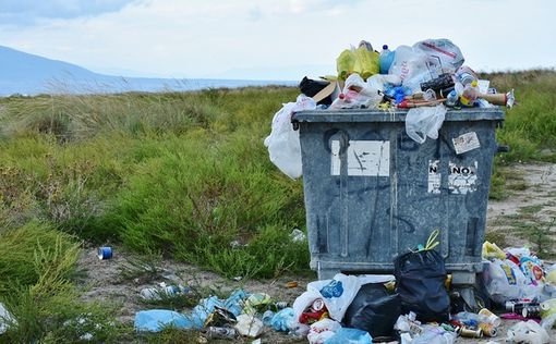 Ученые: токсины попадают в организм из пищевых упаковок