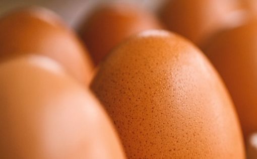 США все еще ищут себе куриные яйца. На помощь приходят Южная Корея и Турция