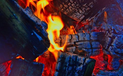 Жители Газы переходят на дрова из-за роста цен на энергоносители