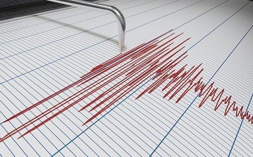 Мощное землетрясение в Юго-Восточной Азии: продолжаются спасательные работы